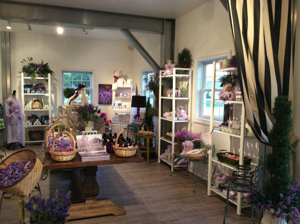 Interior_UABS-Shop-for-Lavender-Farm-MI